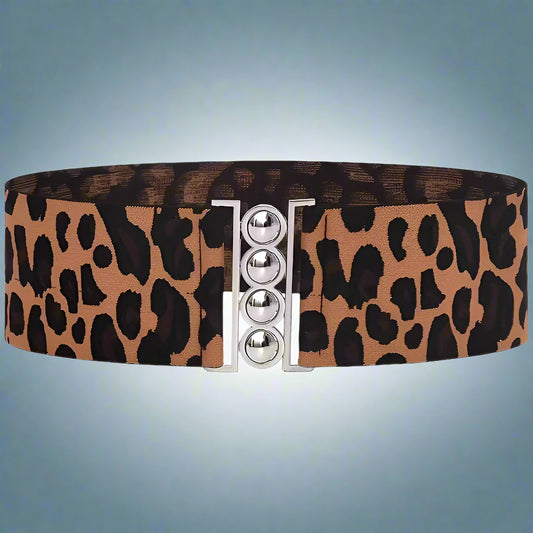 Waist Cincher Belt